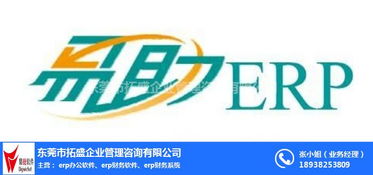 ERP系统开发与拓盛软件技术转让 以易助ERP系统为例