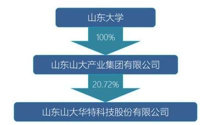 山东国投拟入主山大华特，软件技术服务板块迎新局